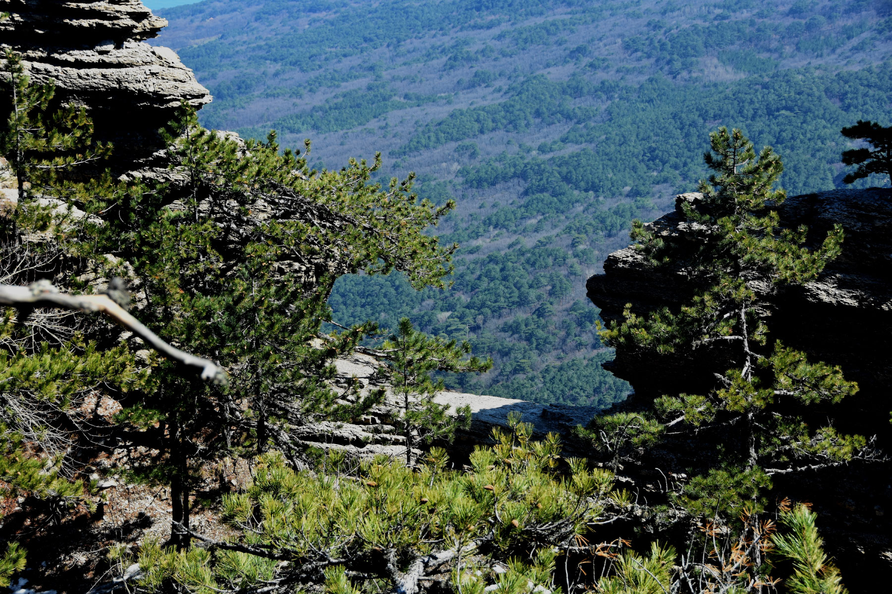 Taraktash, Yalta (Таракташ, Ялта)
